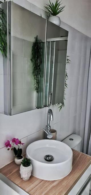 #New#Terrasse Sud Ouest#Pied De La Cite #1 Daire Carcassonne Dış mekan fotoğraf
