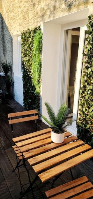 #New#Terrasse Sud Ouest#Pied De La Cite #1 Daire Carcassonne Dış mekan fotoğraf