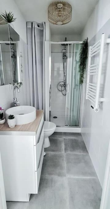 #New#Terrasse Sud Ouest#Pied De La Cite #1 Daire Carcassonne Dış mekan fotoğraf